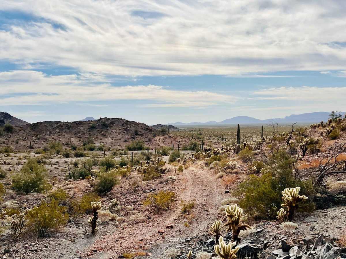 Rocks, Mines, and Cactus photo 6