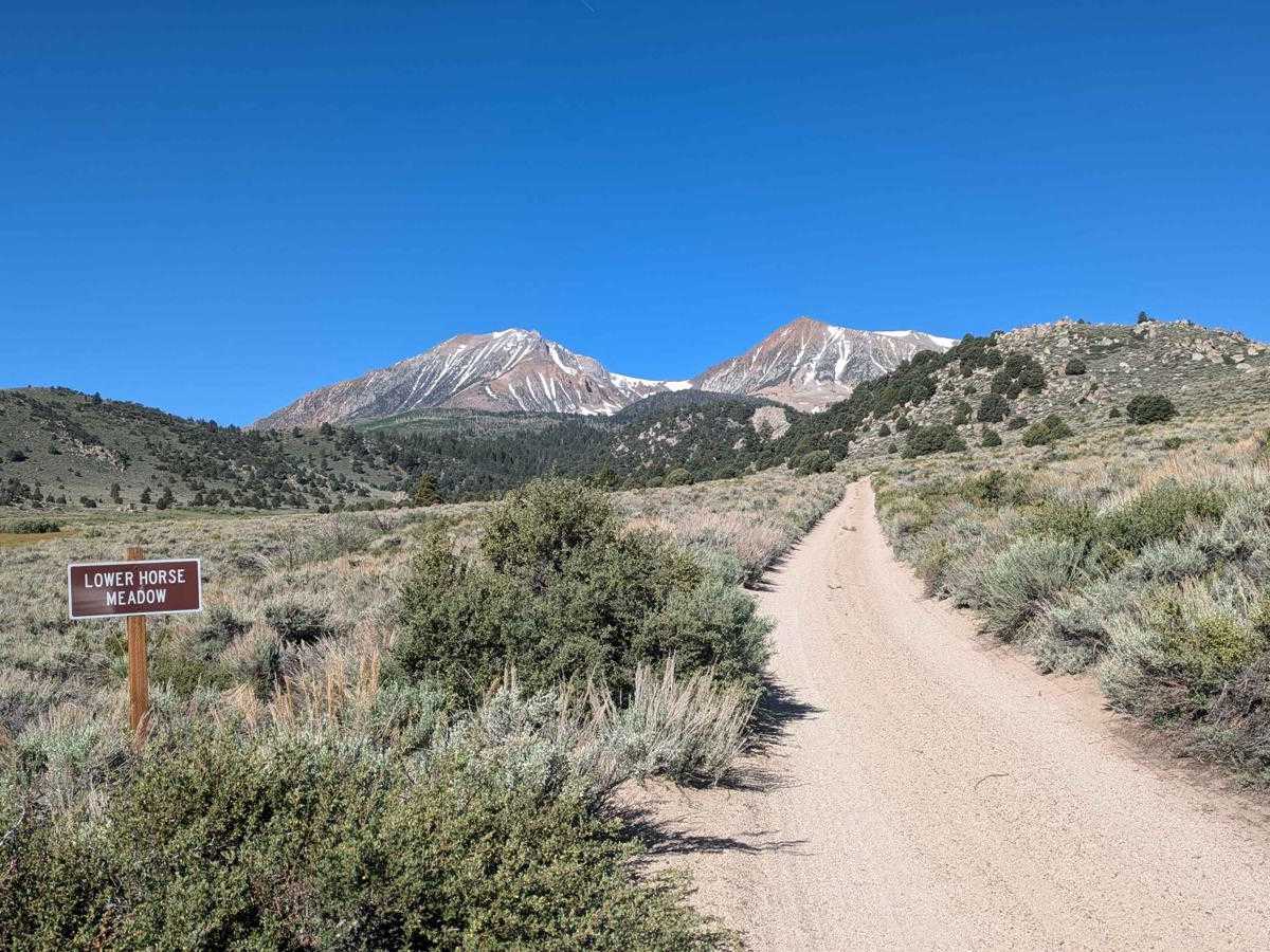 Horse Meadows trail photo