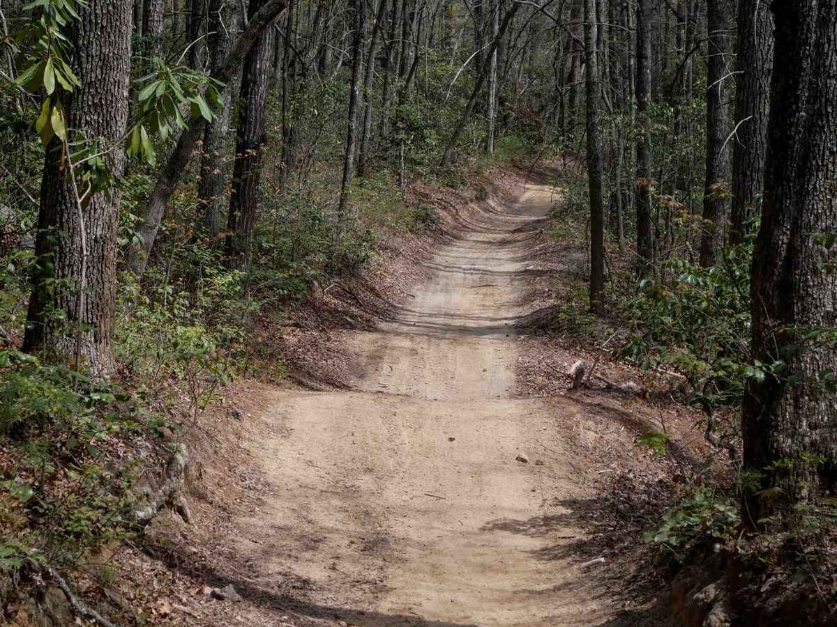 Trail 6 Miller Circle photo 4