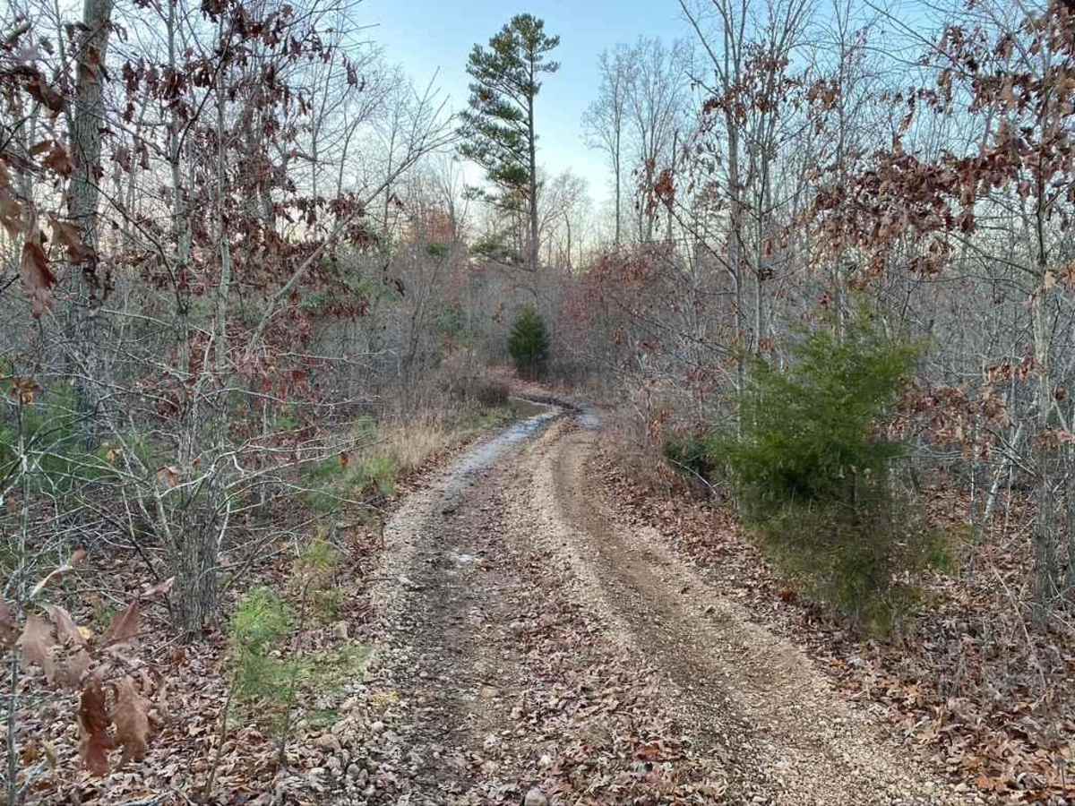 Pine Union Spur A FSR 2137A photo 3