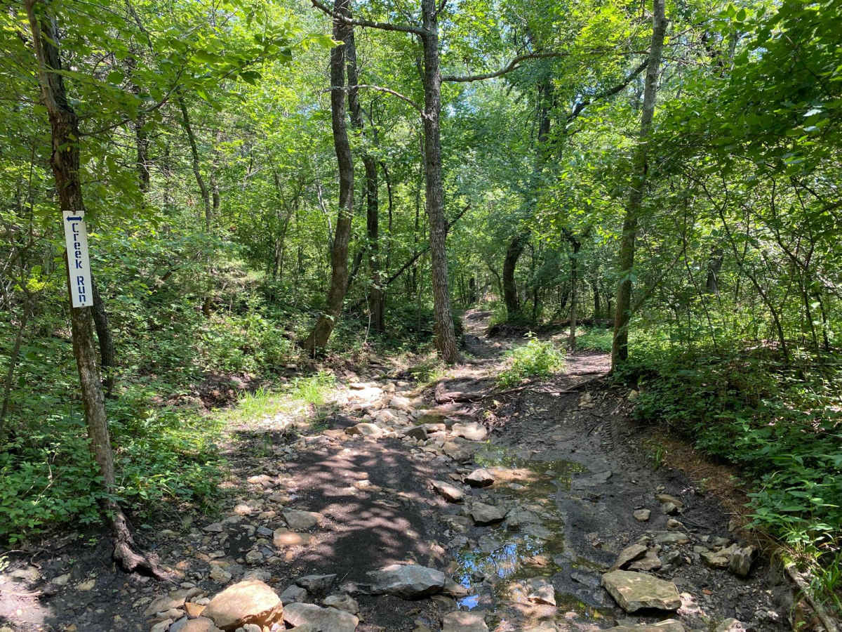 Creek Run trail photo