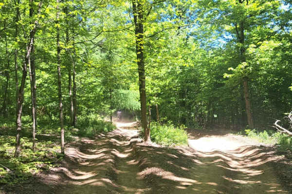 C and D Trail