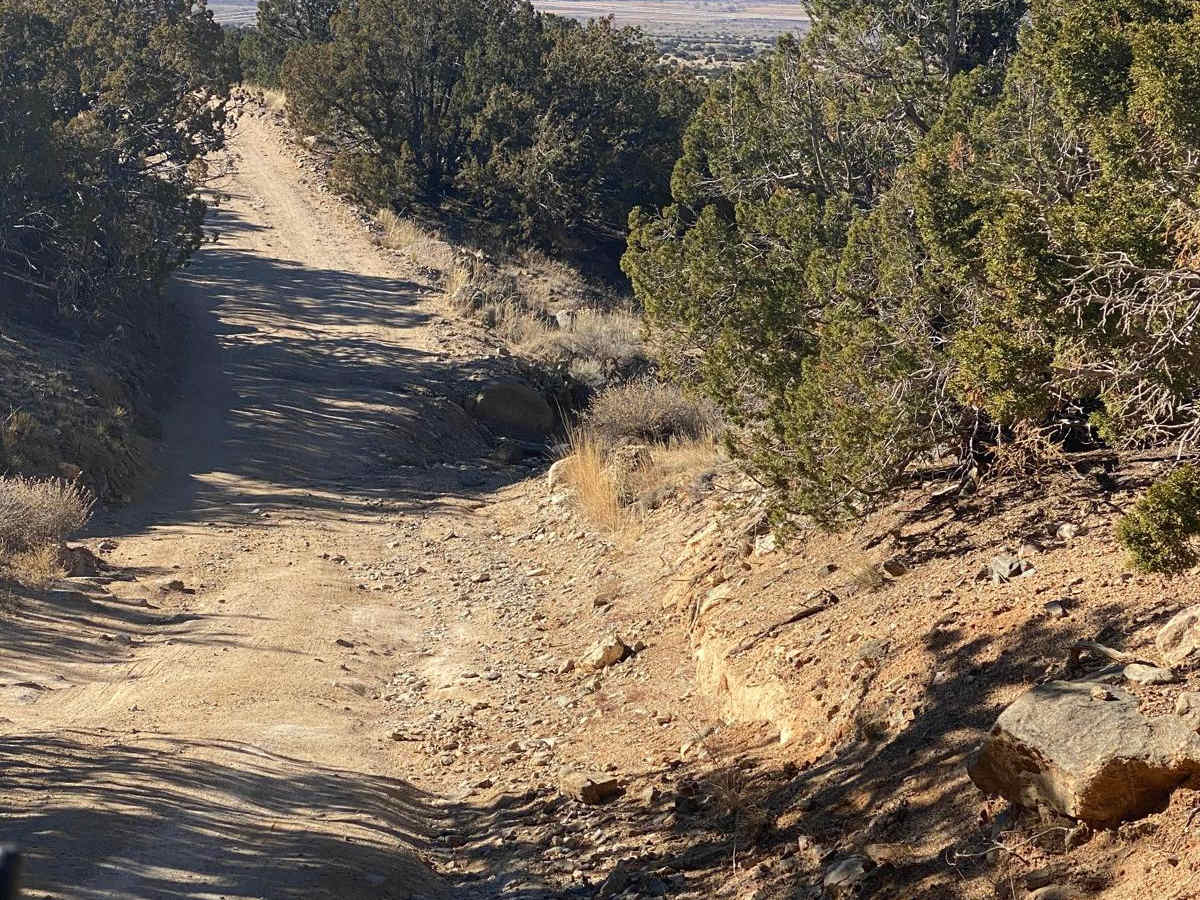 Forest Loop Road 445 photo 5