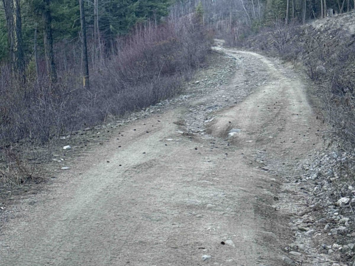 Terrace Mountain Connector photo 6