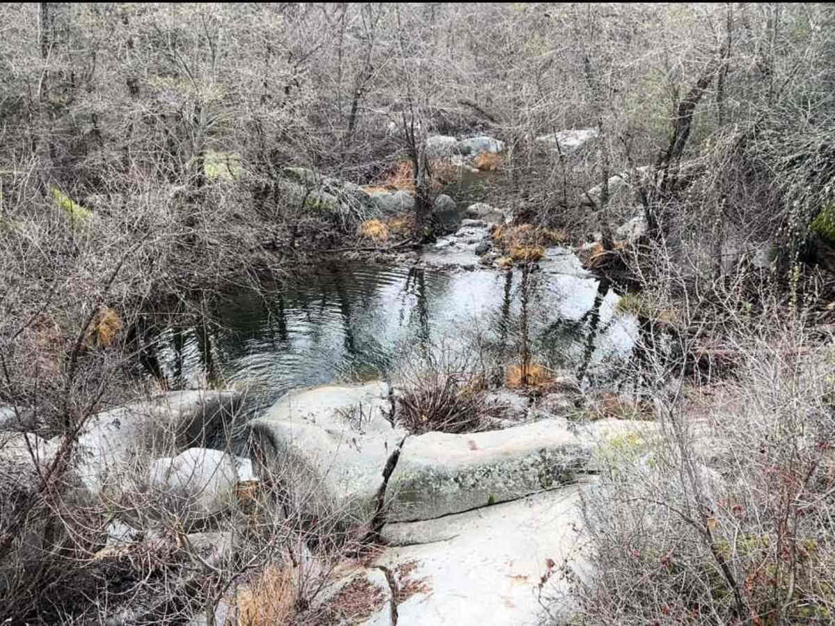 Forebay to American Camp photo 5
