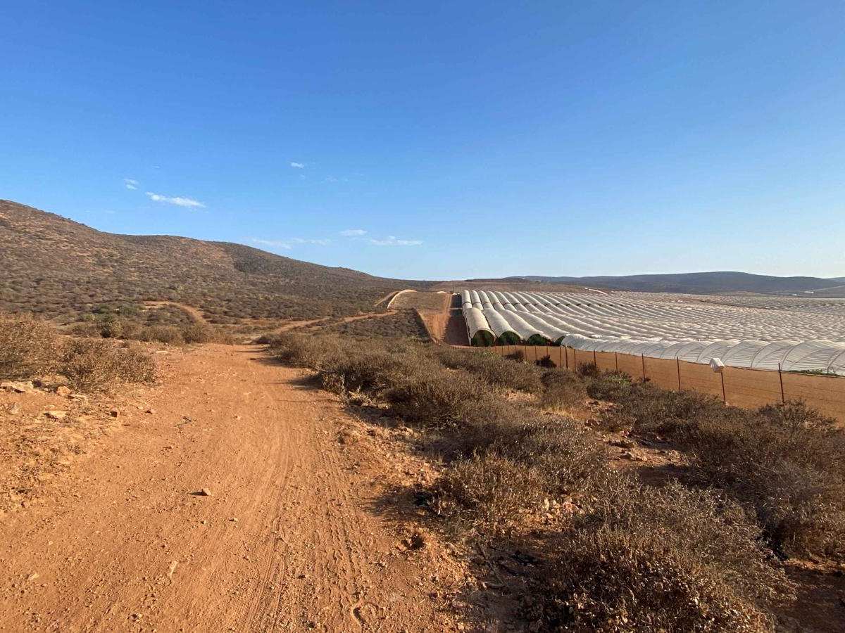Cascabel Crossover trail photo