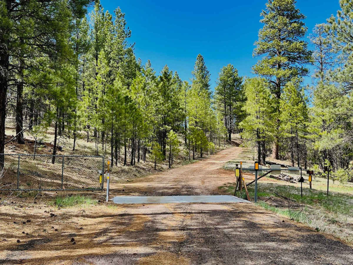 FR 211G-Camping trail photo