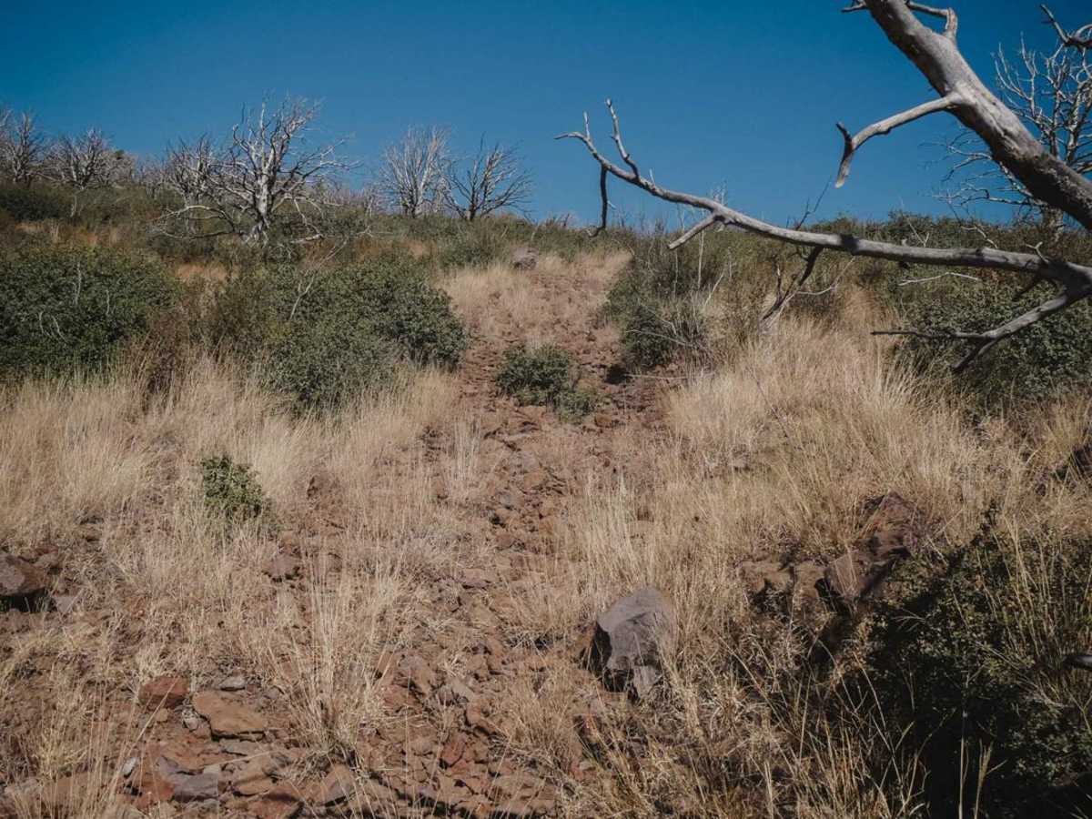 Little Wolf Creek photo 6