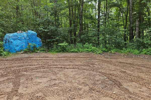 Bloomer County Forest Trail