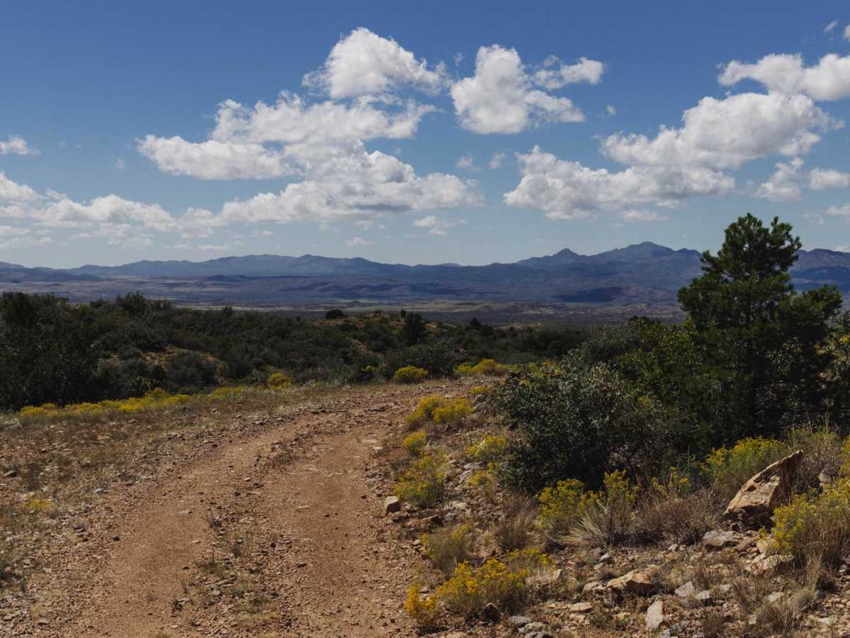 50k trail photo