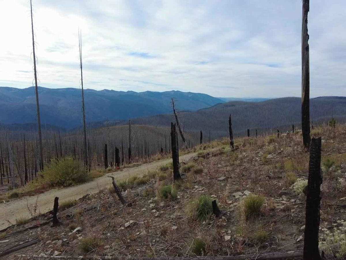 Green Mountain Lookout photo 2