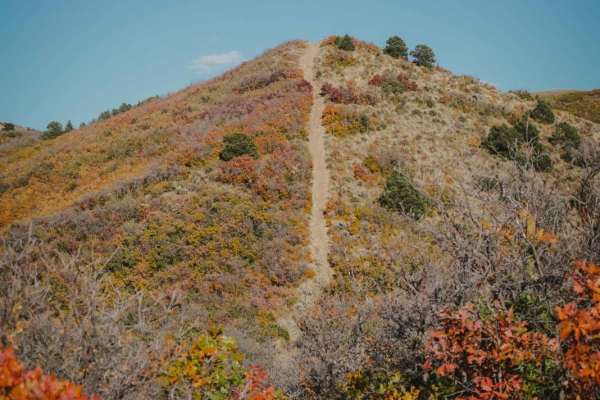BLM Route 8322