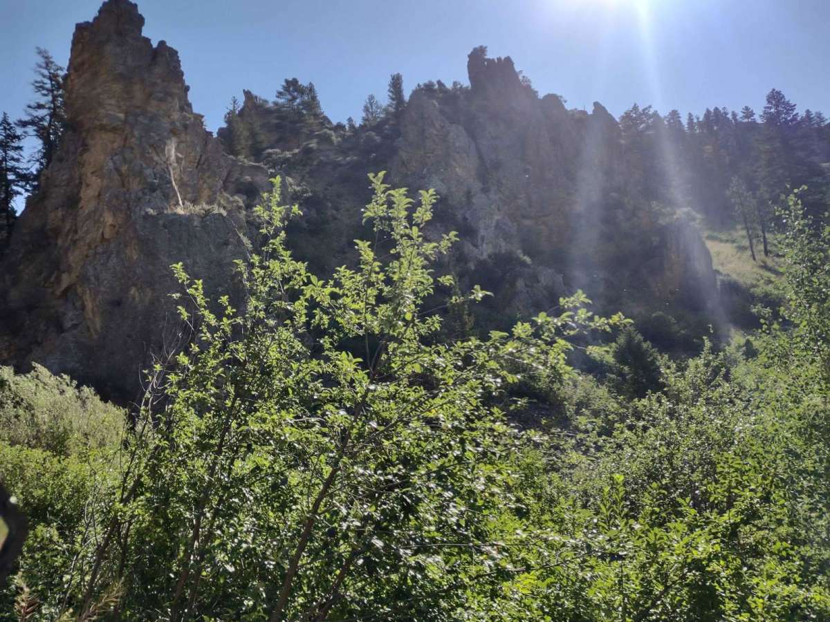 Magpie Gulch photo 3