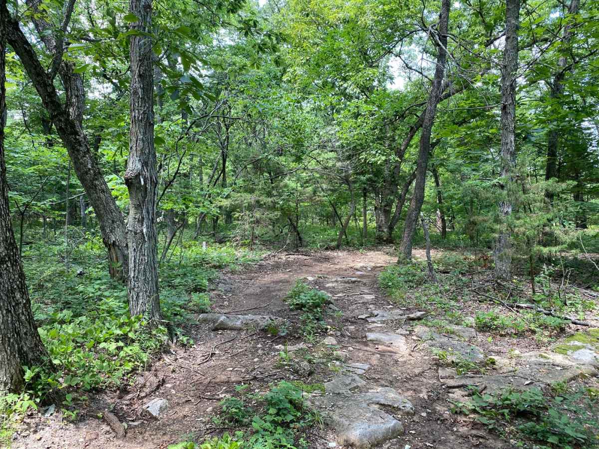 Jake's Cheek trail photo