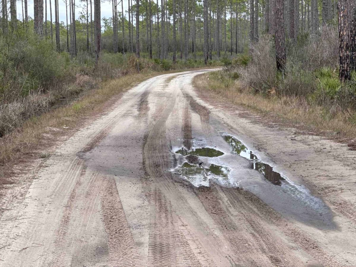 McIntyre Road photo 6