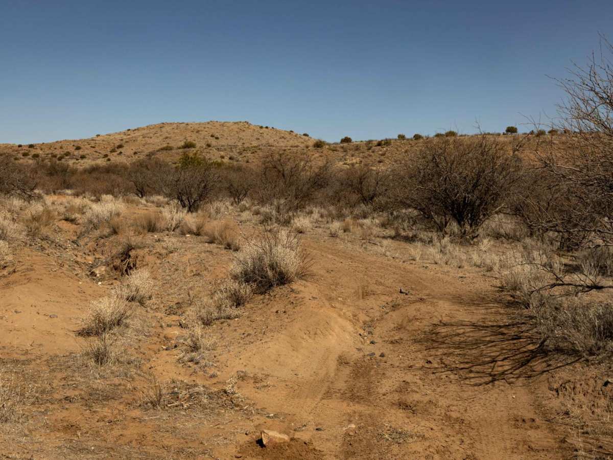 Sheep Gulch trail photo