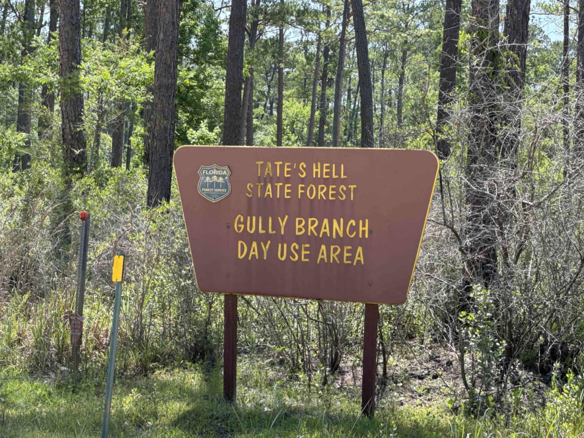Gully Branch Road photo 3