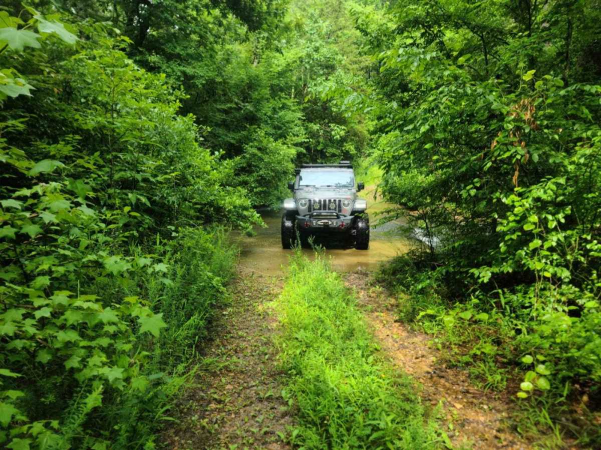 Nesbitt Creek Spur - 498 photo 6