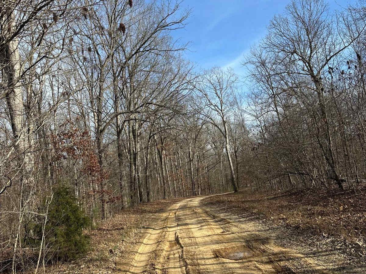 FSR 119 photo 3