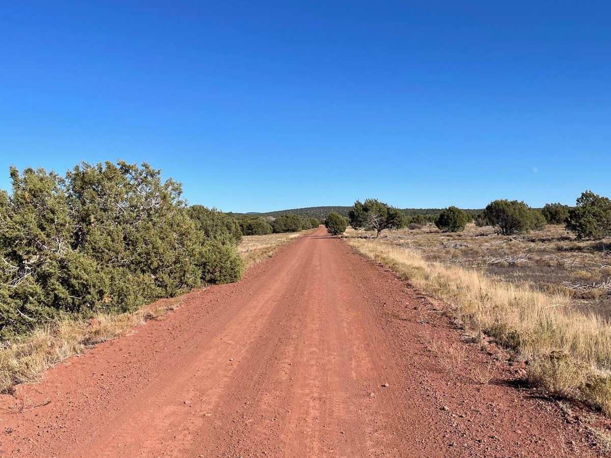 Cedar Flat- West FS 214 photo 4