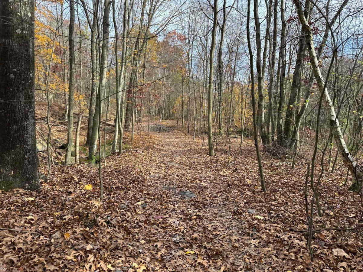 Ashland 151 photo 3