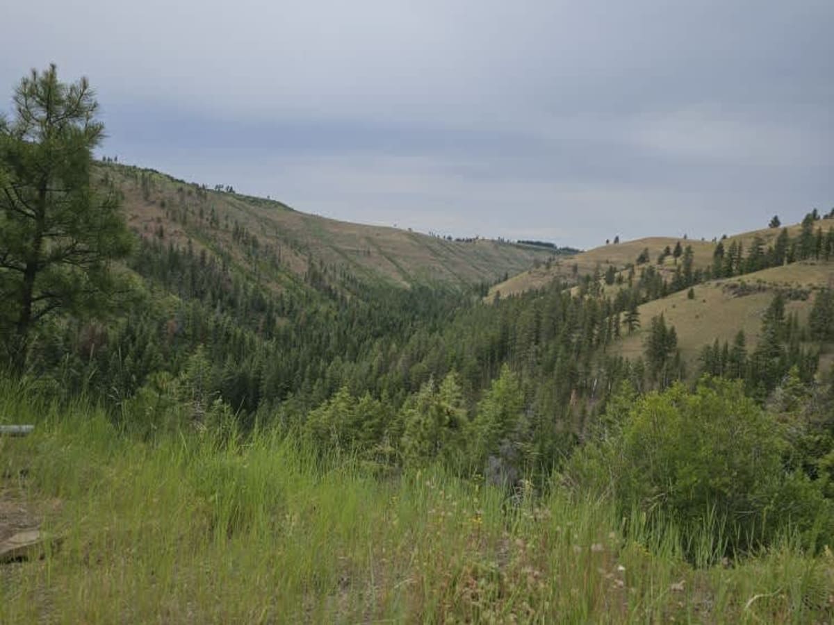 Pataha Cable Road photo 4