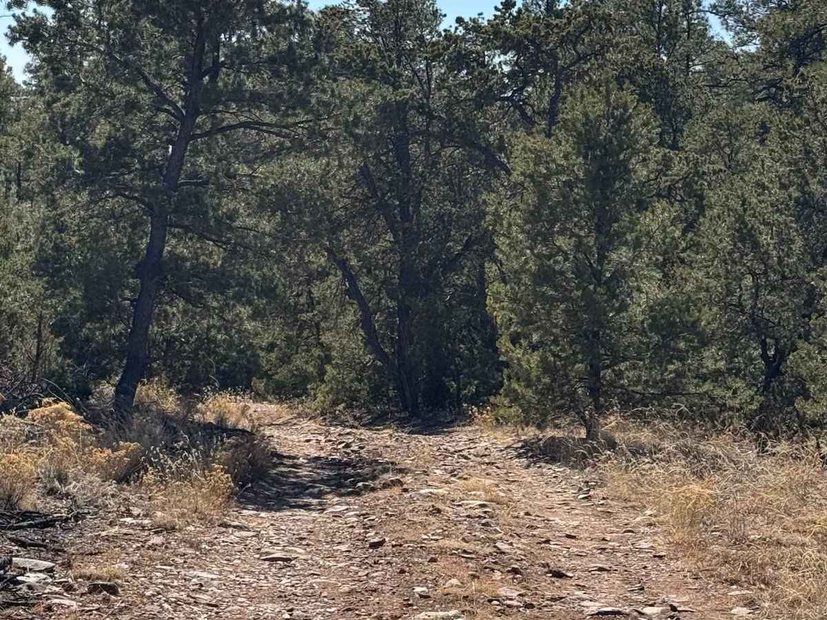 Glorieta Mesa photo 5