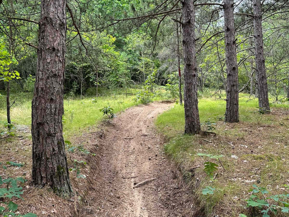 N/E Little Manistee Motorcycle Trail photo 4
