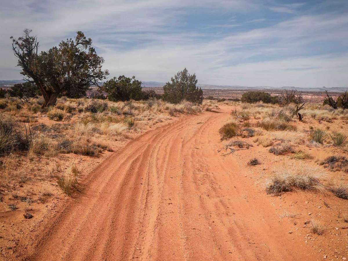 Cedar Mountain 1094 photo 3