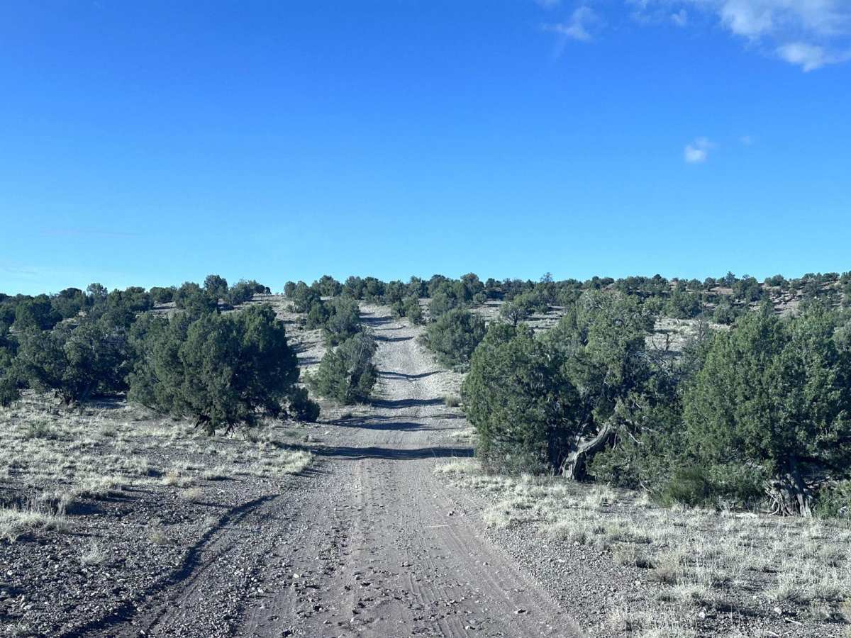 Verde Loop Trail photo 4