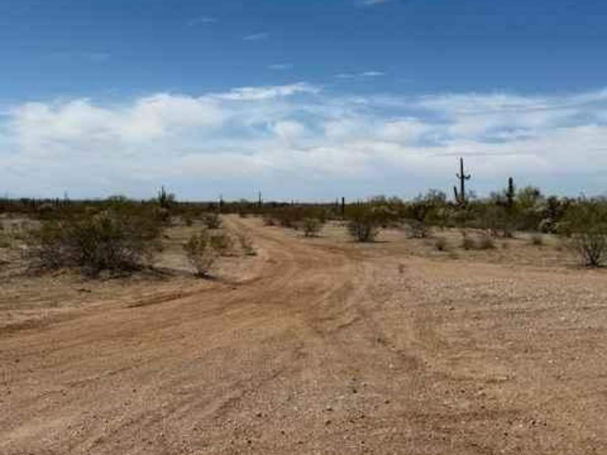 Nw2233 trail photo
