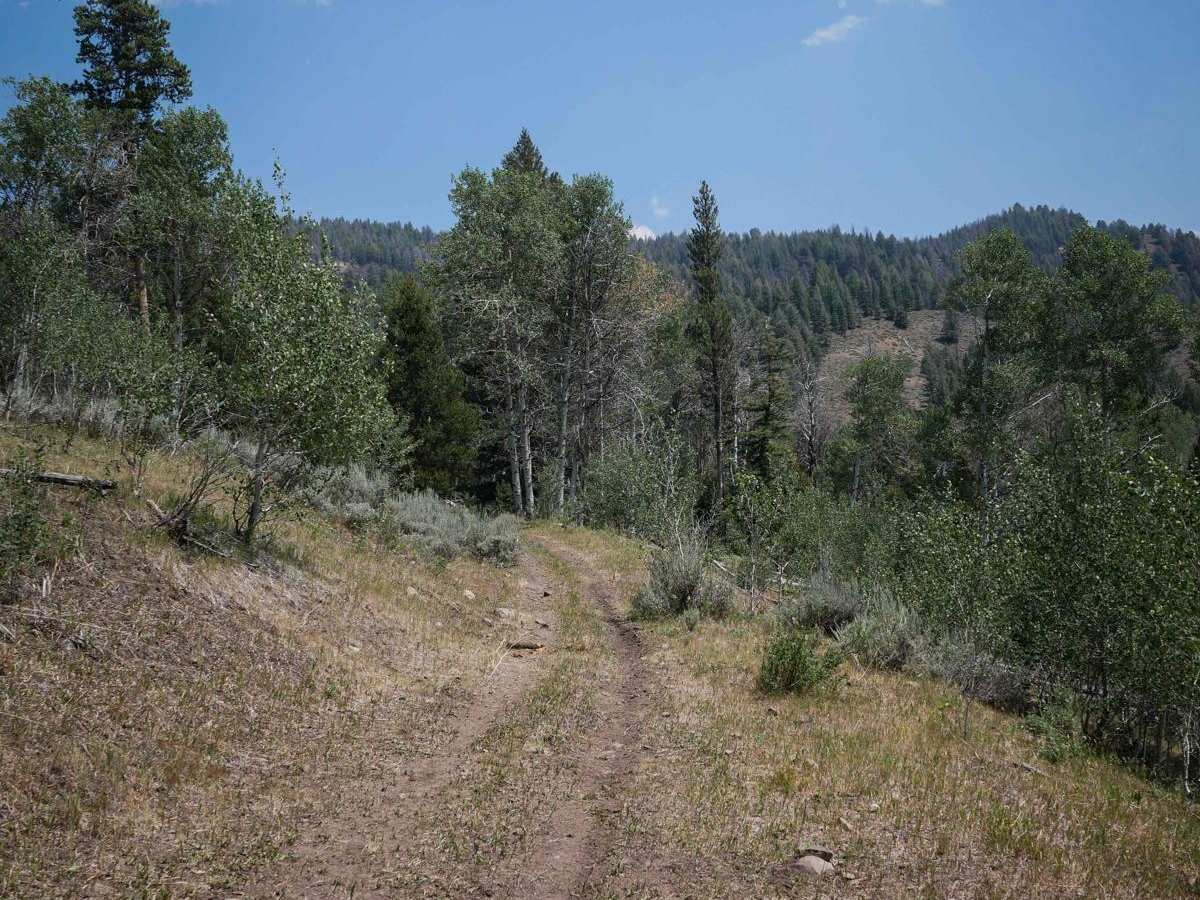 Leg Creek ATV photo 5
