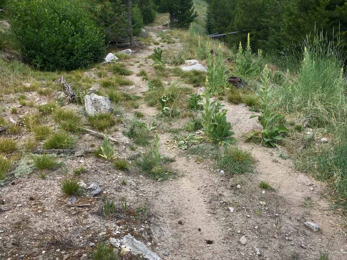 Cold Spring Hill ATV Trail photo 5