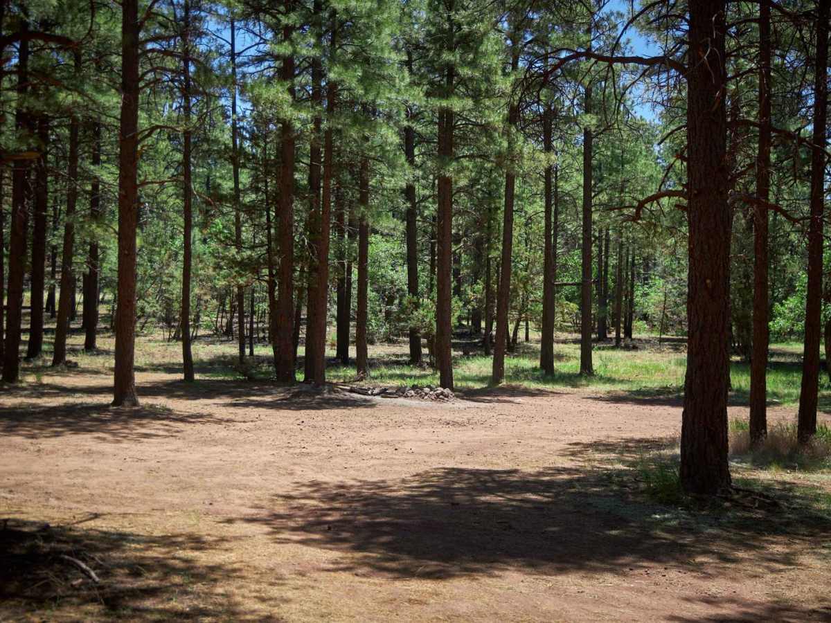 Northview Cutoff photo 4