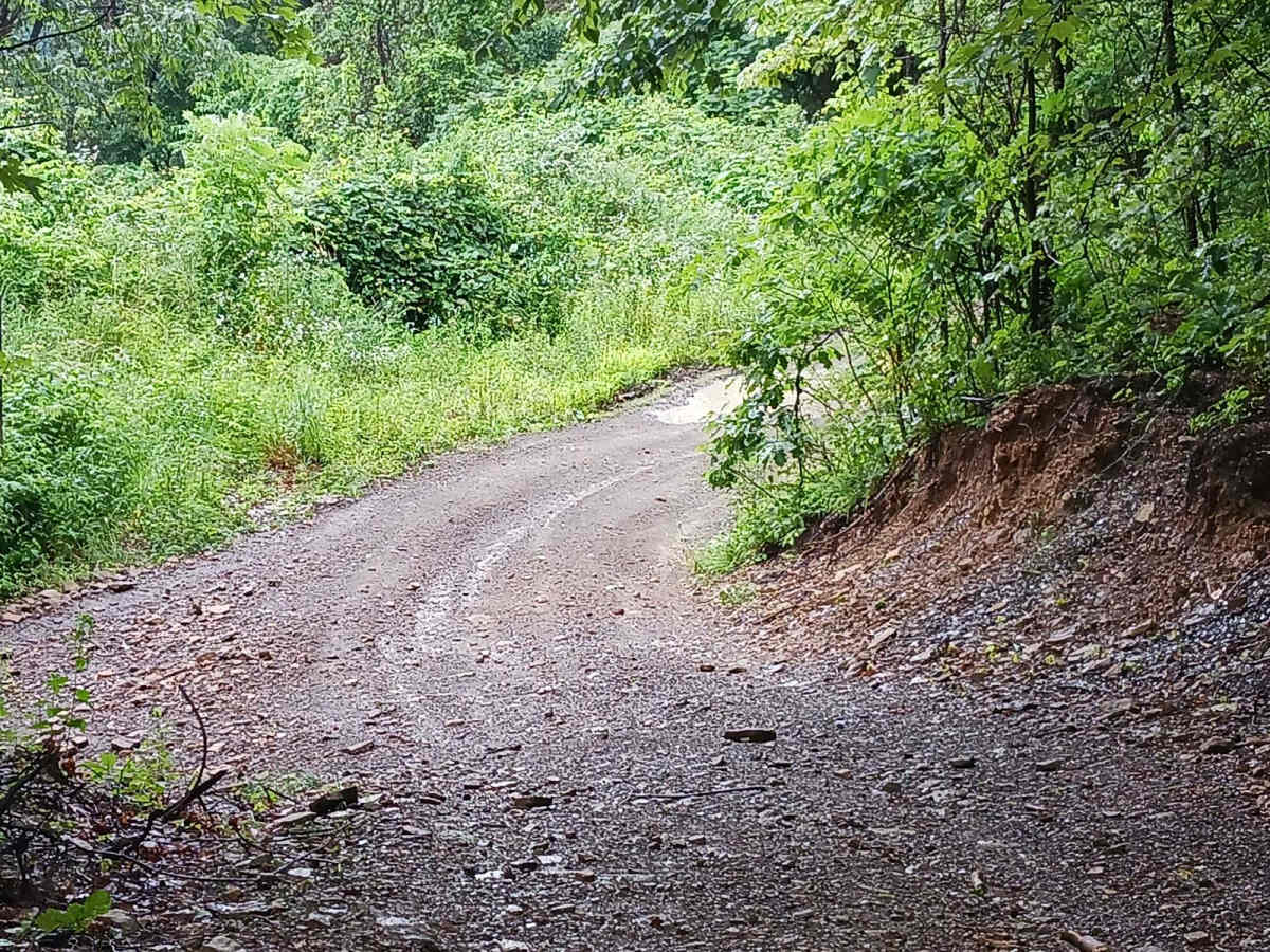 Trail 3F - Rock Run Recreation Area photo 3