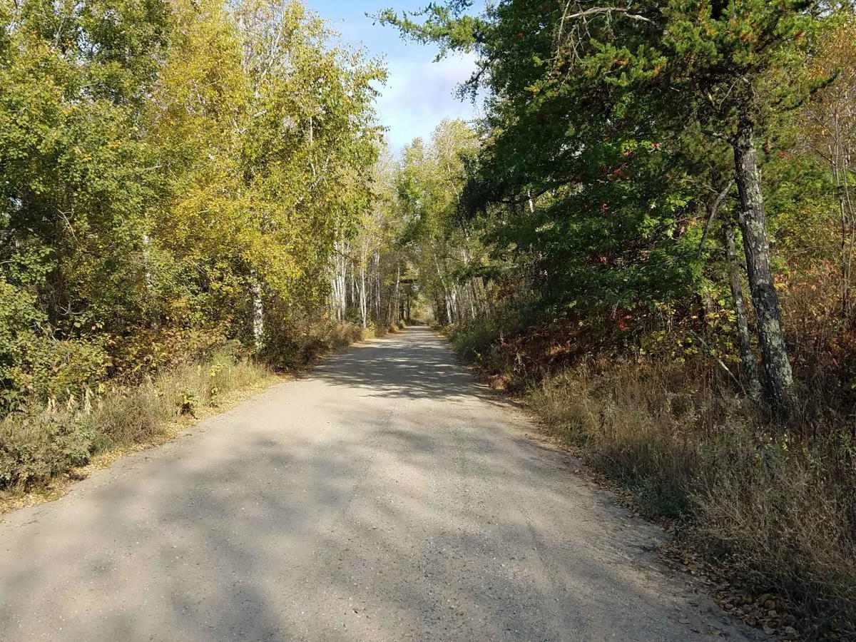Inner Forest Road 4.6 photo 2