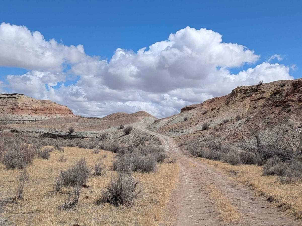 Little Wedge Road photo 5