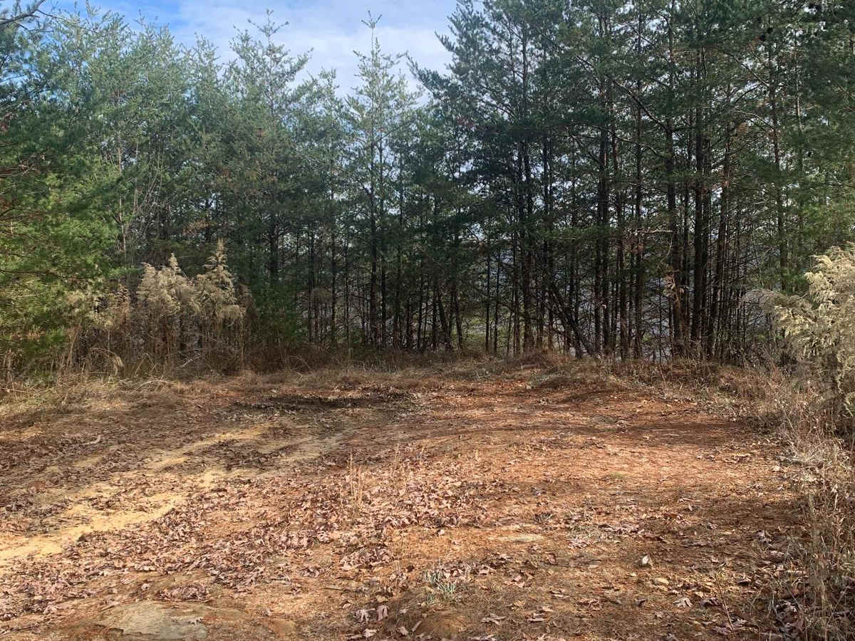 Ellis Pt/Bluff View Road photo 4