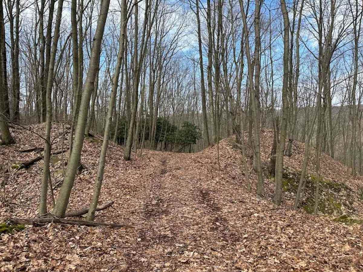 Ashland 128 trail photo