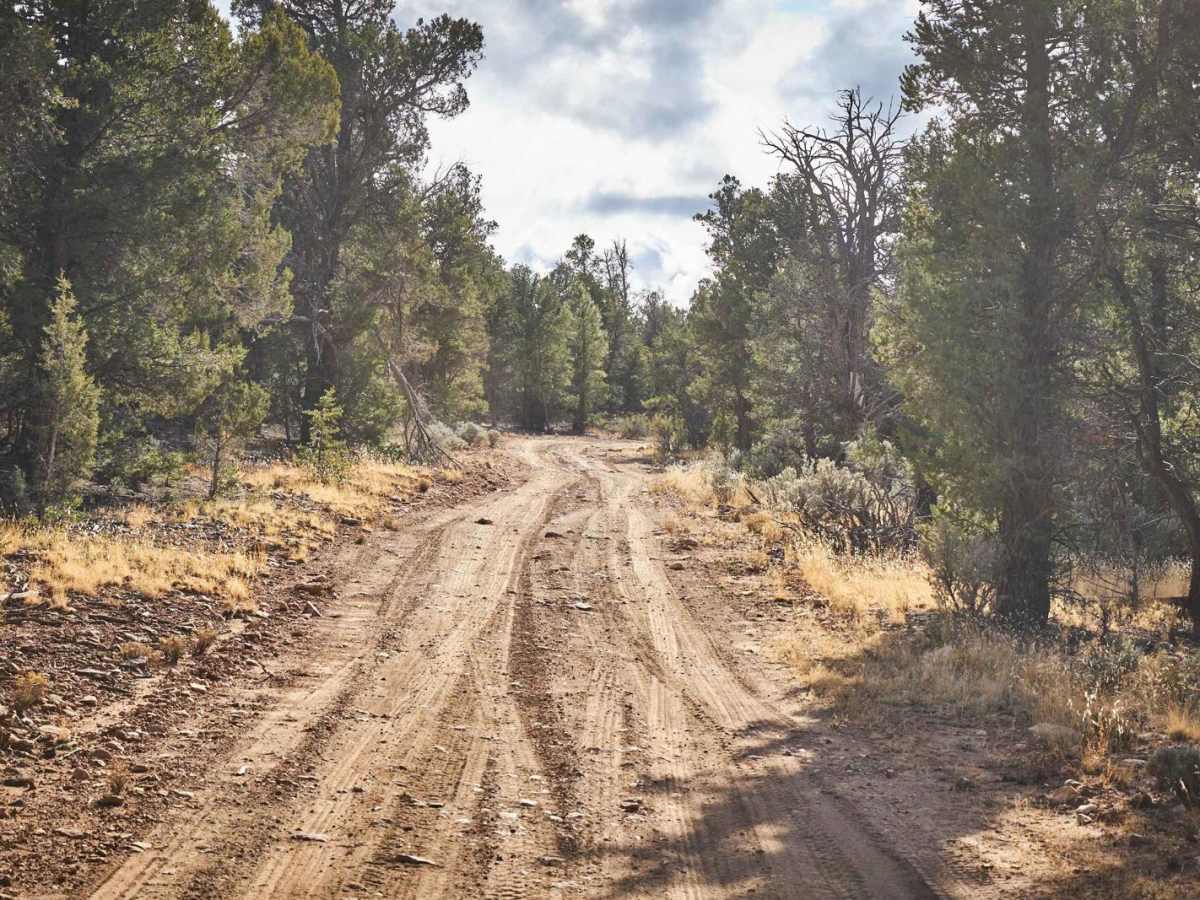 Old 335 Road photo 6