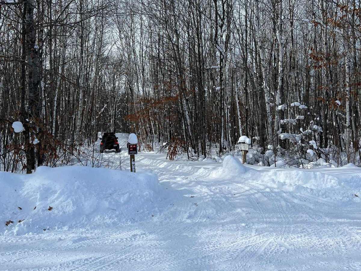 Spider Lake trail photo