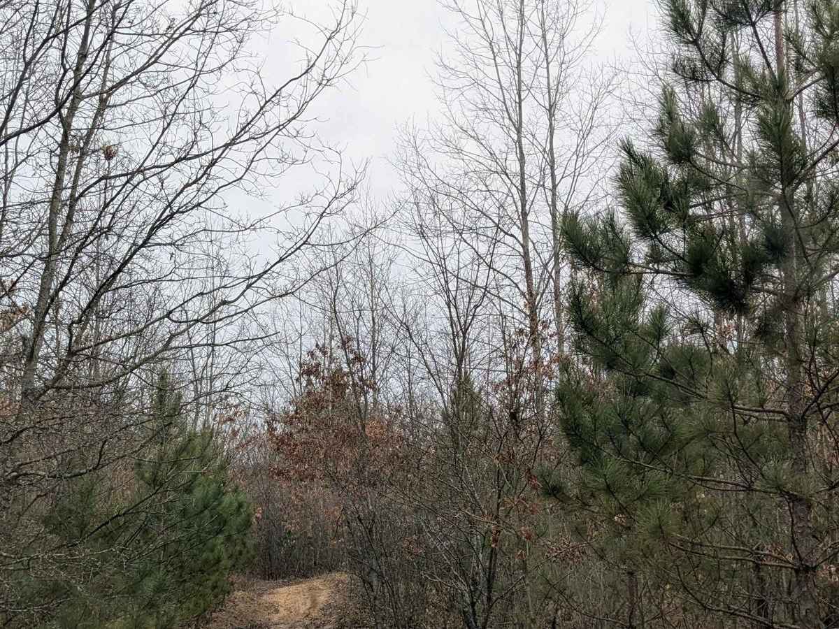 Dunham Lake Trail photo 2