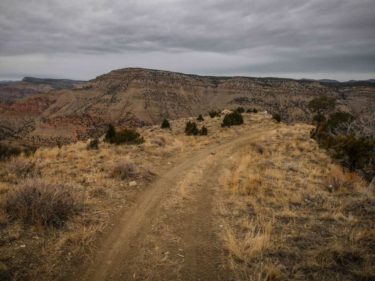 Sarlacc Trail photo 6