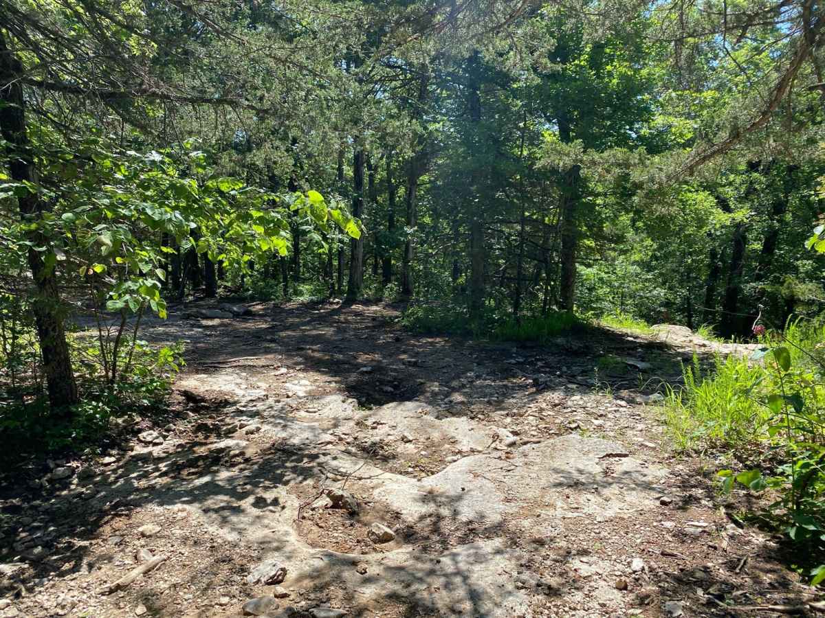 Sprattsville Trail photo 6