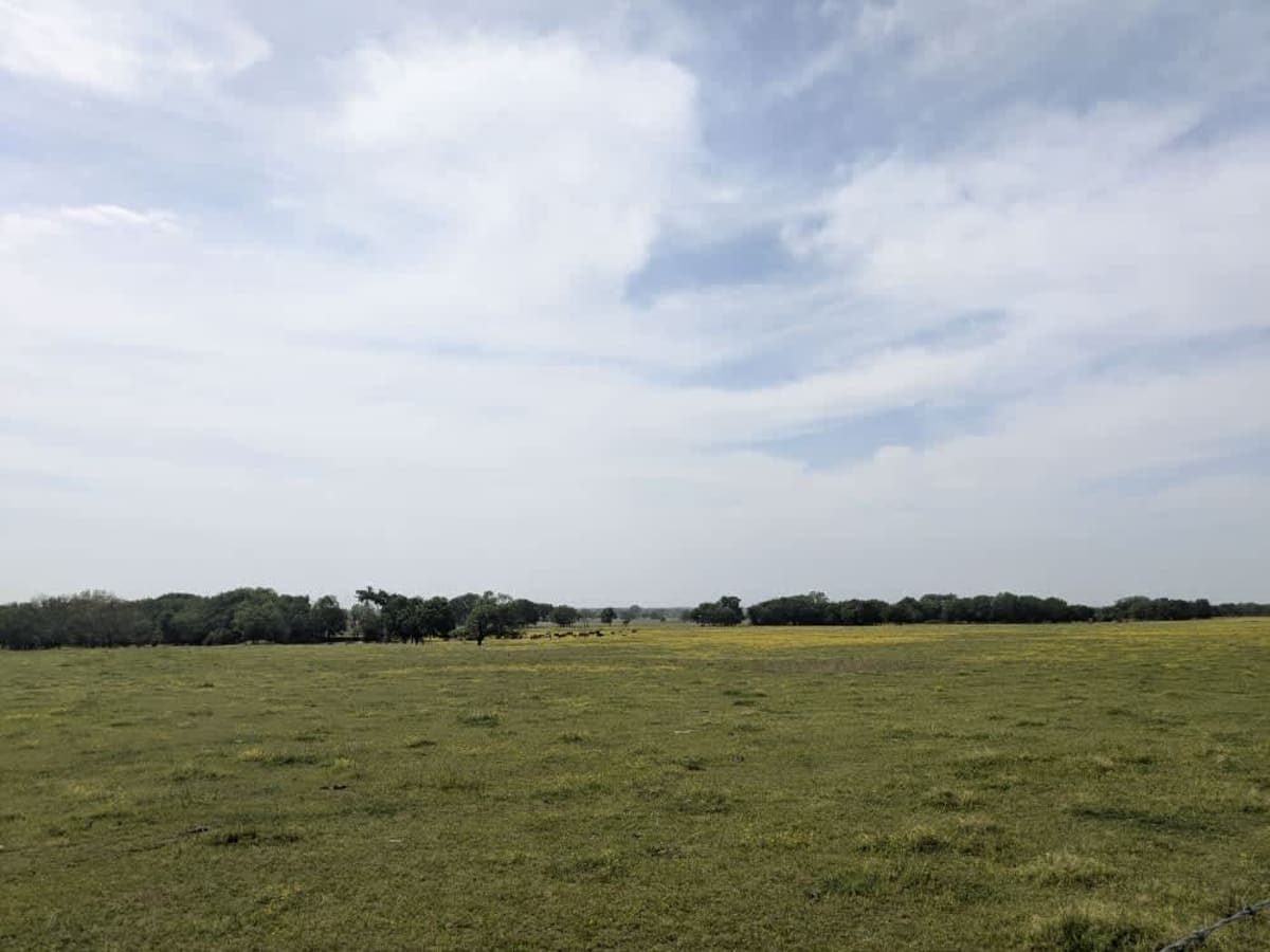 South 560 photo 2