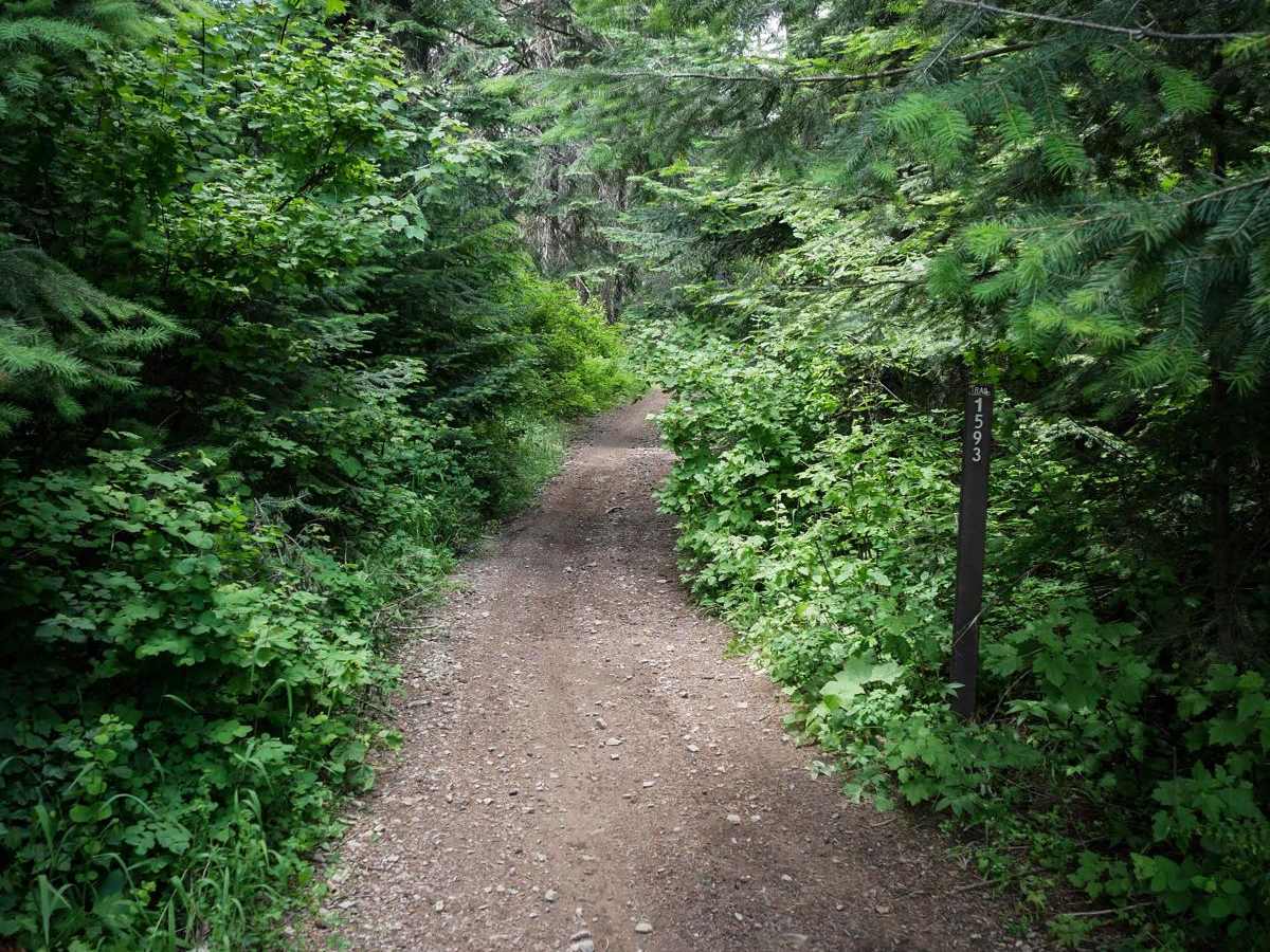 Dry State OHV photo 4