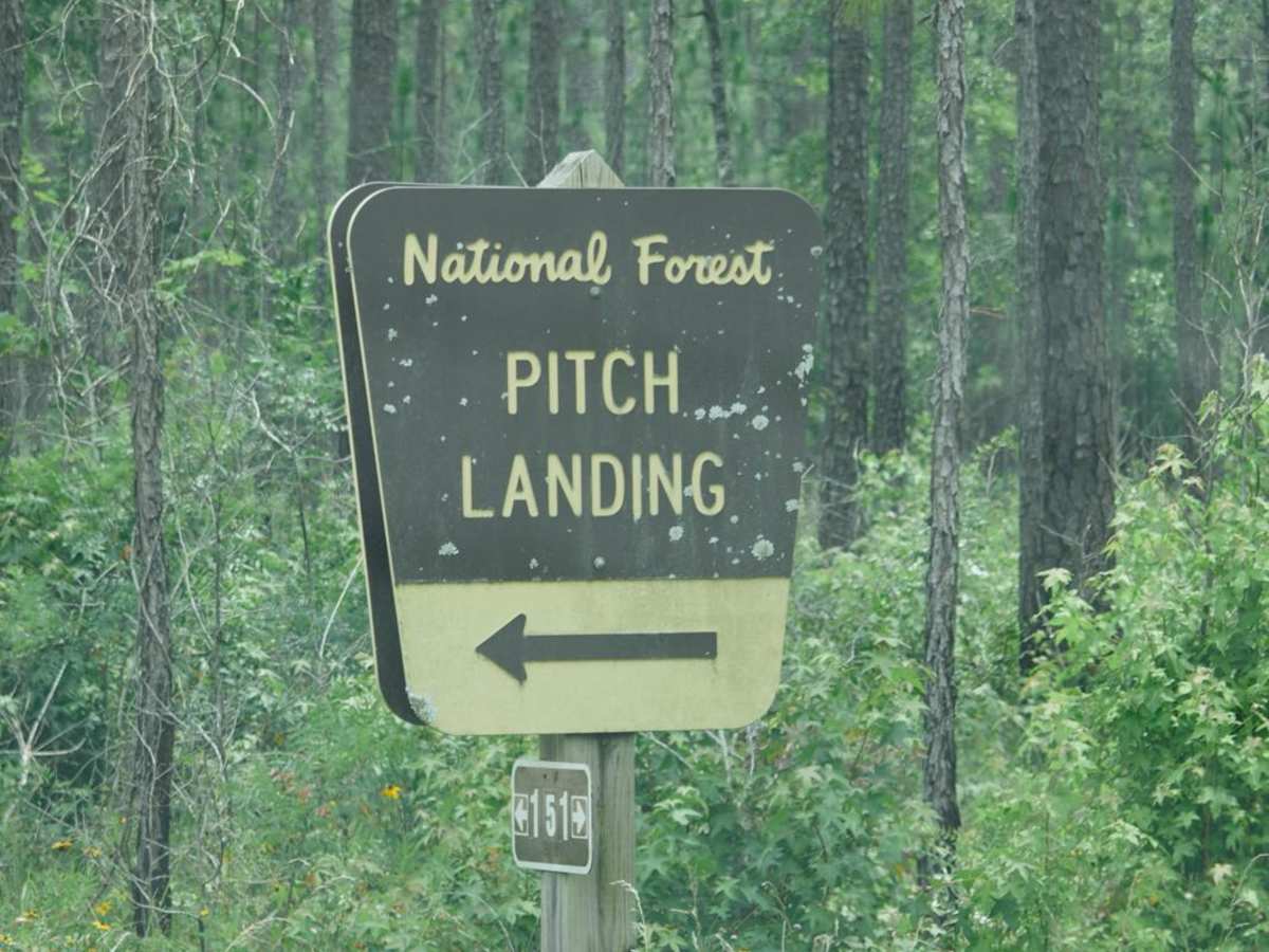 Pitch Landing - FSR 192 trail photo