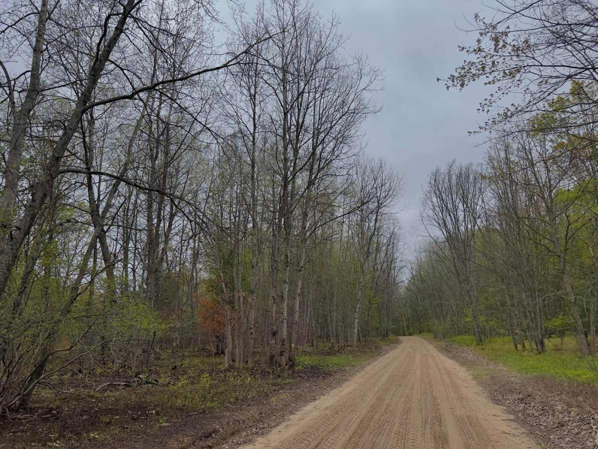 Wellston Newaygo SMT 3 photo 3