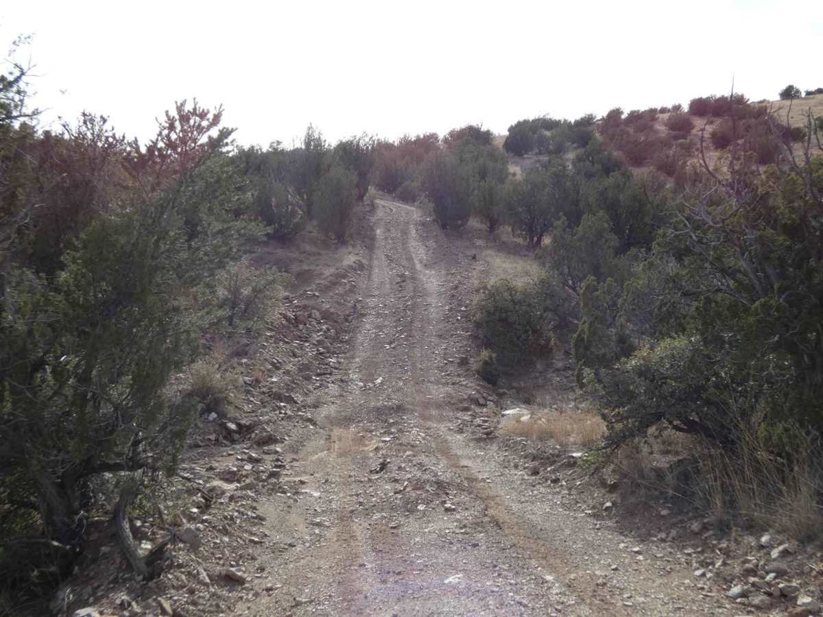 Deer Spring trail photo