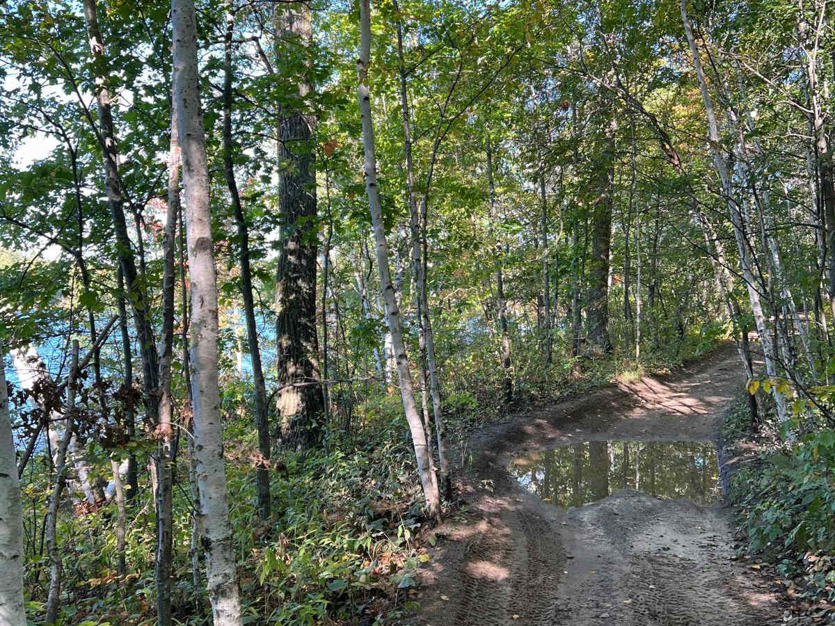 Cut Lake Scenic Drive photo 4